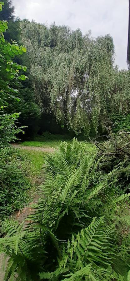 Apartmán Fewo Im Naturschutzgebiet Hiddenhausen Exteriér fotografie