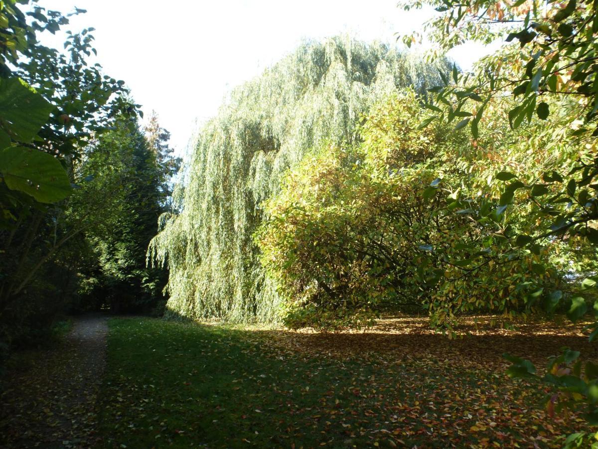 Apartmán Fewo Im Naturschutzgebiet Hiddenhausen Exteriér fotografie