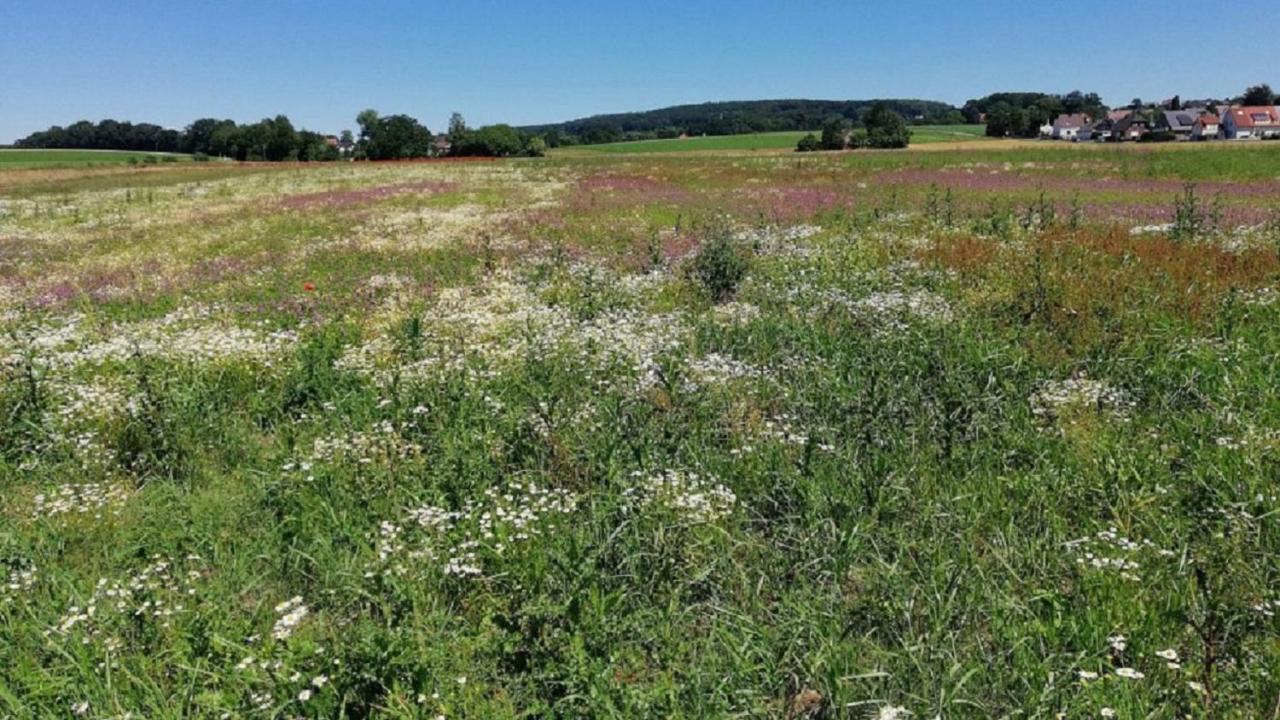 Apartmán Fewo Im Naturschutzgebiet Hiddenhausen Exteriér fotografie